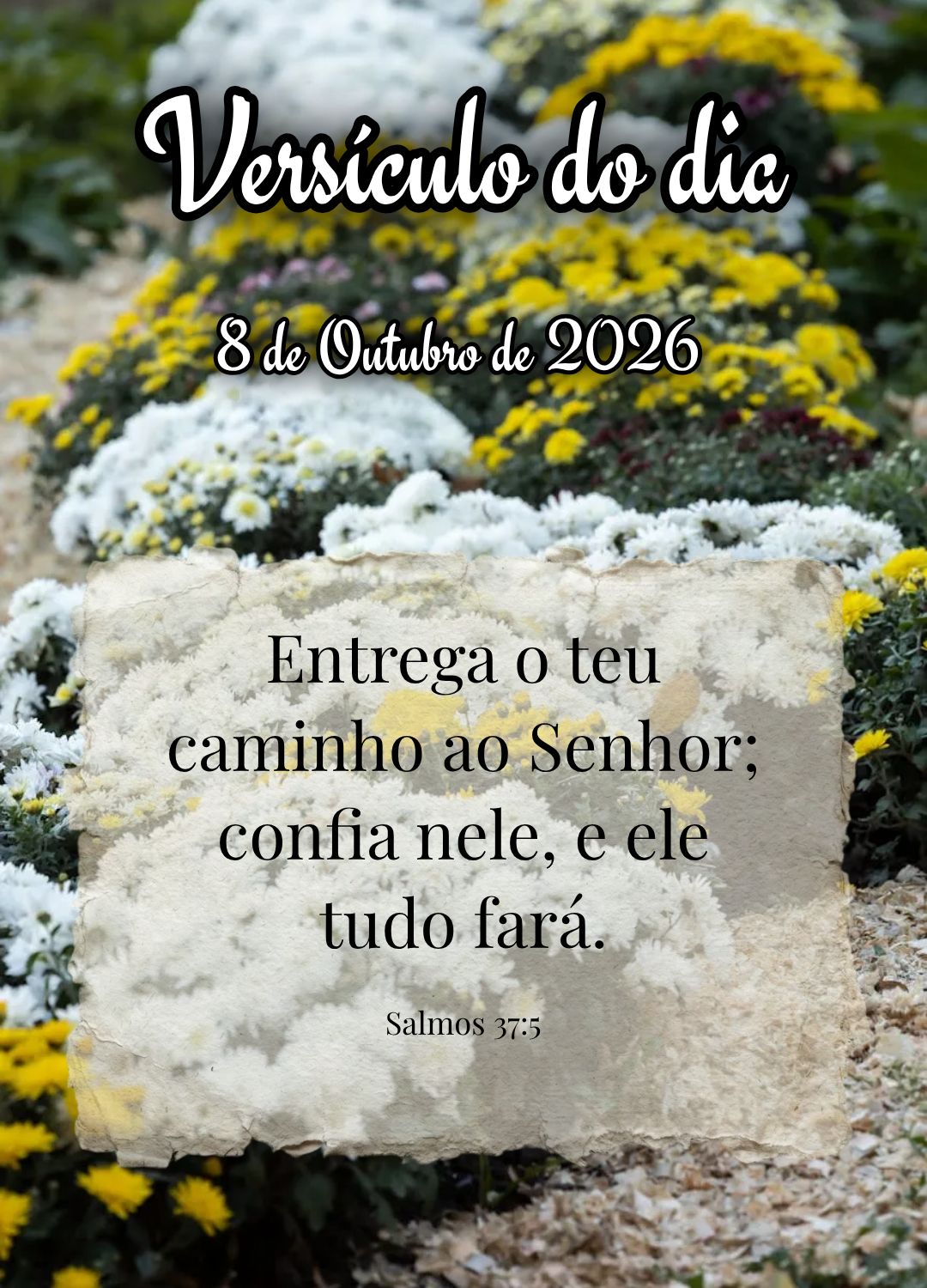 Entrega o teu caminho ao Senhor; confia nele, e ele tudo fará. Versículo do dia Salmos 37:5