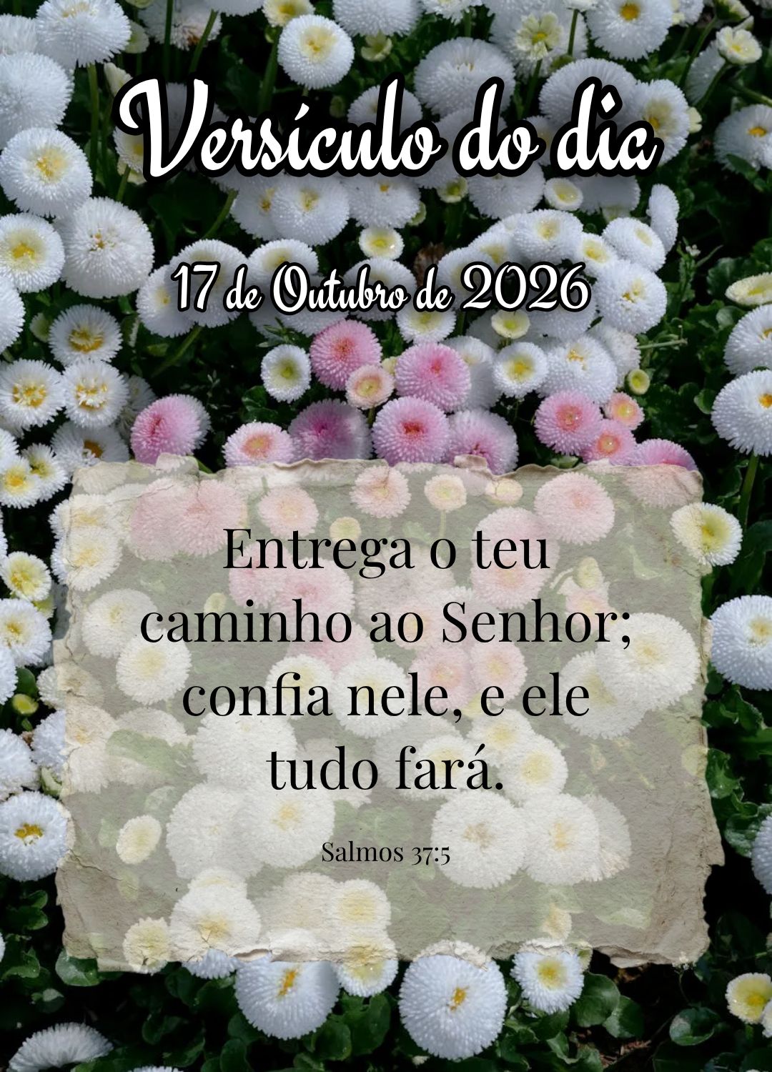 Entrega o teu caminho ao Senhor; confia nele, e ele tudo fará. Versículo do dia Salmos 37:5