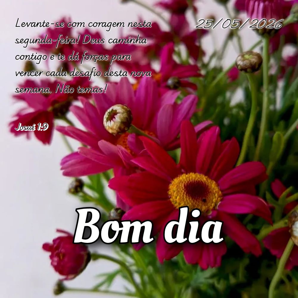 Levante-se com coragem nesta segunda-feira! Deus caminha contigo e te dá forças para vencer cada desafio desta nova semana. Não temas! Josué 1:9