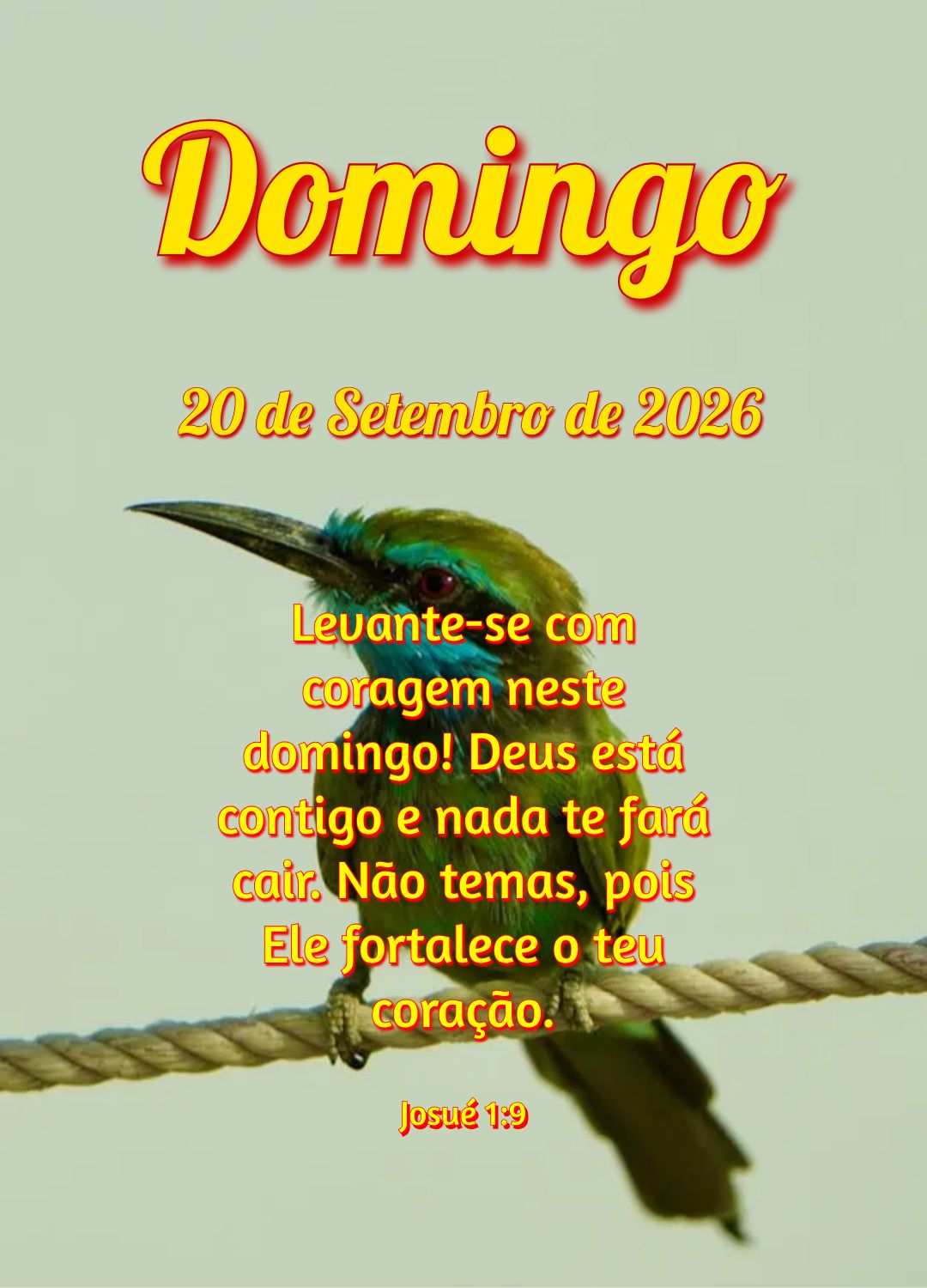 Levante-se com coragem neste domingo! Deus está contigo e nada te fará cair. Não temas, pois Ele fortalece o teu coração. Josué 1:9