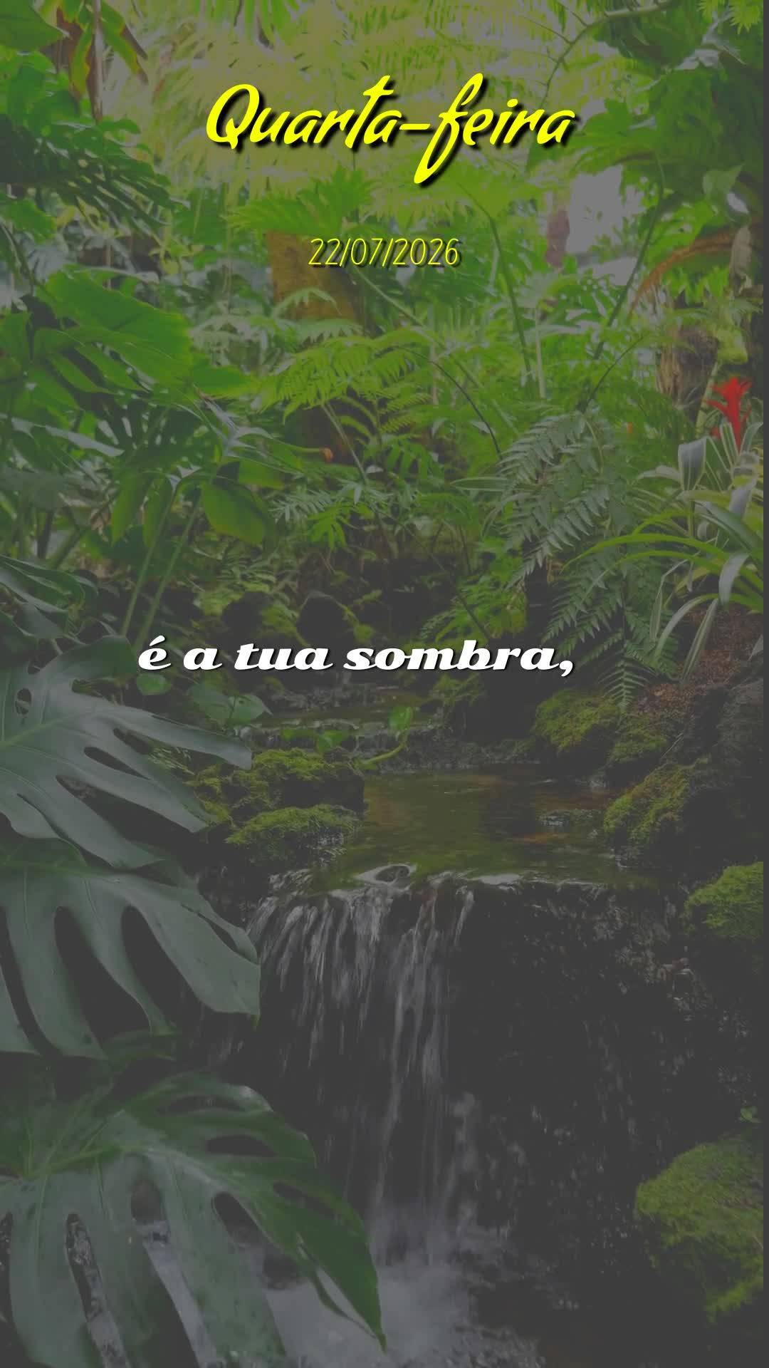 Meu bom dia especial nesta quarta-feira, 22 de Julho de 2026, é para você, pessoa querida. No meio da semana, quando a rotina pesa, quero pedir a Deus ...
