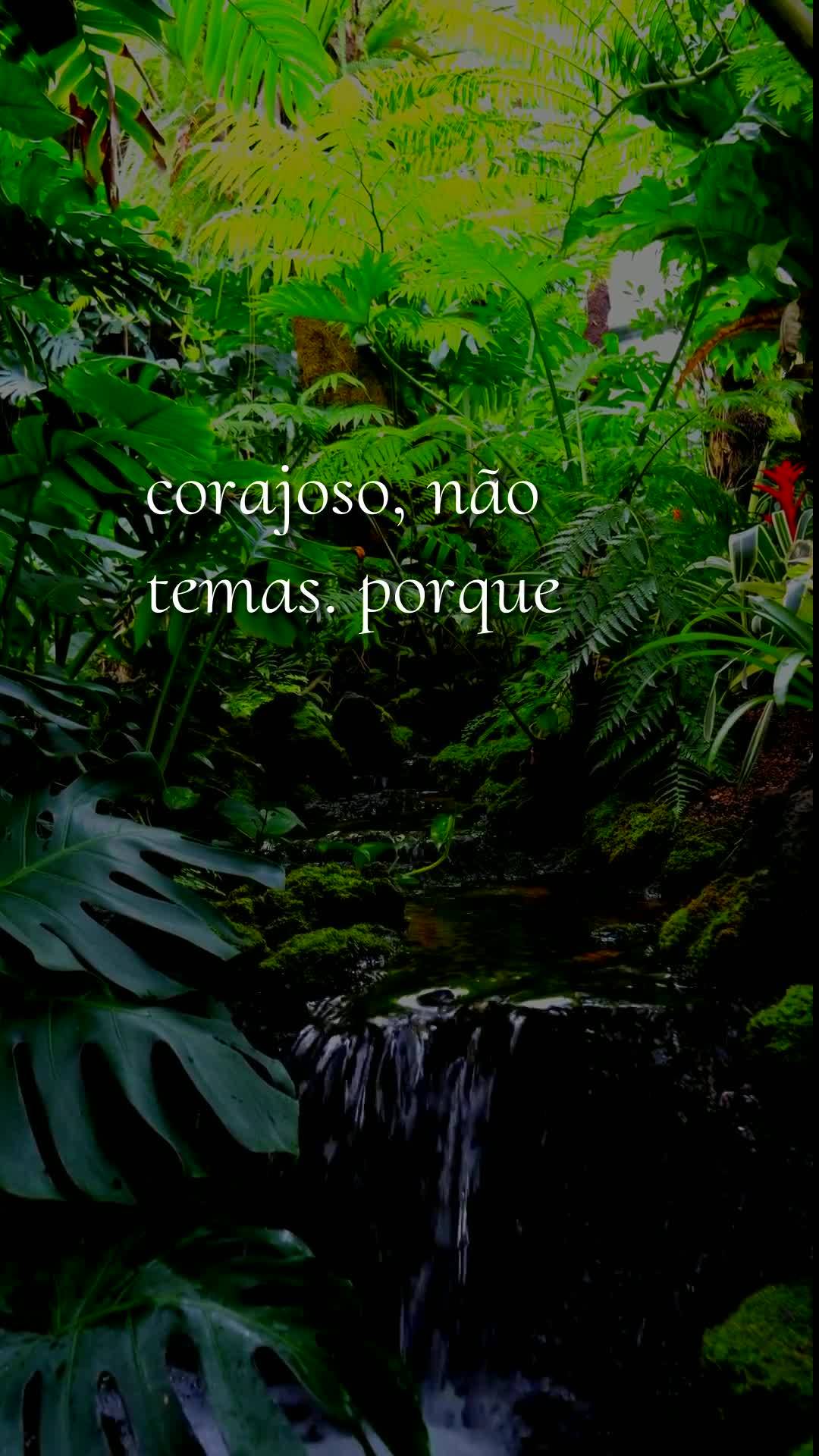 Meu bom dia especial nesta quinta-feira é para você, pessoa querida. Neste 27 de Agosto de 2026, quero pedir a Deus que te abençoe, te guarde e te gui...