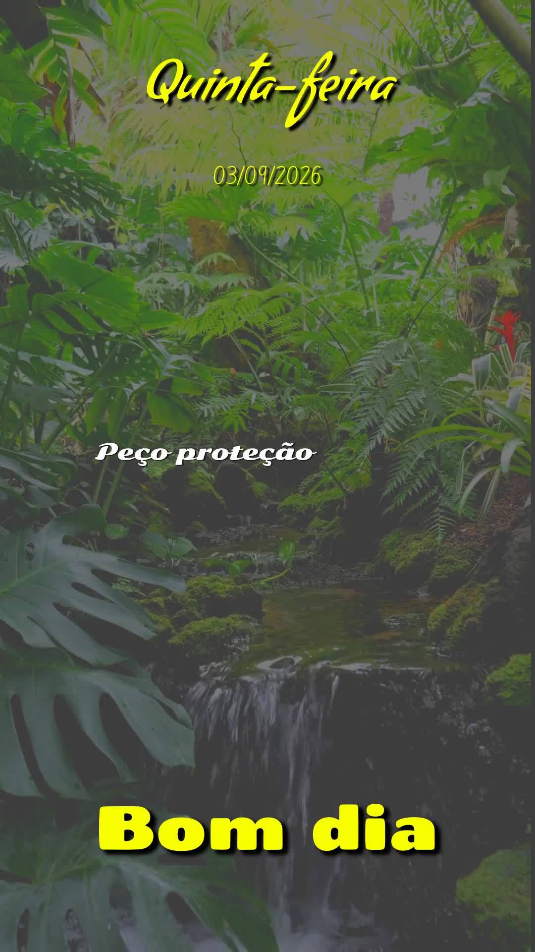 Meu bom dia especial nesta quinta-feira é para você, pessoa querida. Que Deus te abençoe, te guarde e te guie em cada passo deste 3 de Setembro de 202...