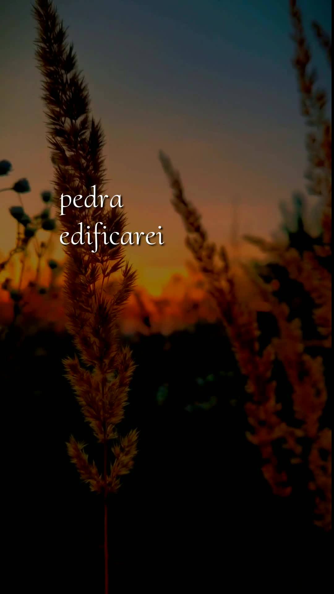 Meu bom dia especial nesta segunda-feira é para você, pessoa querida. Neste dia de São Pedro e São Paulo, peço que Deus te abençoe, te guarde e te ...