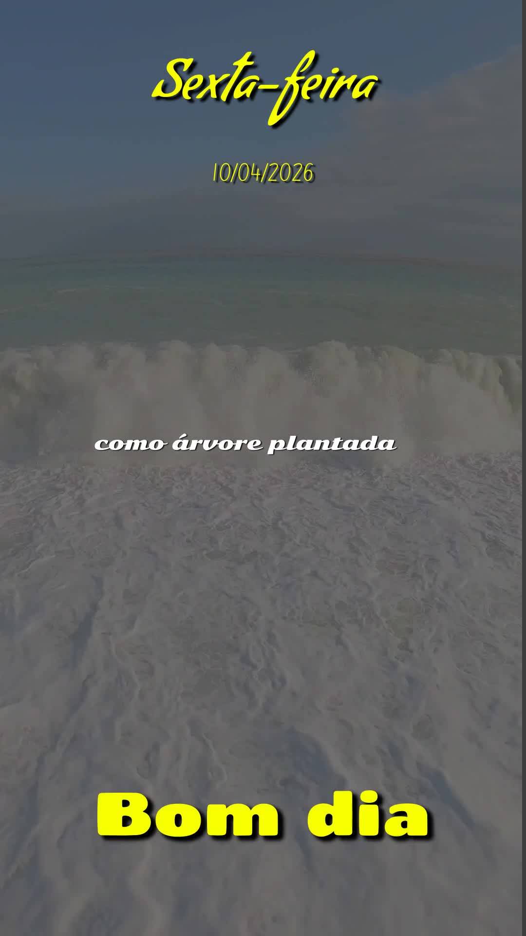Meu bom dia especial nesta sexta-feira é para você, pessoa querida. Que alegria chegar até aqui, ao fim de mais uma semana, e poder te enviar essa bê...