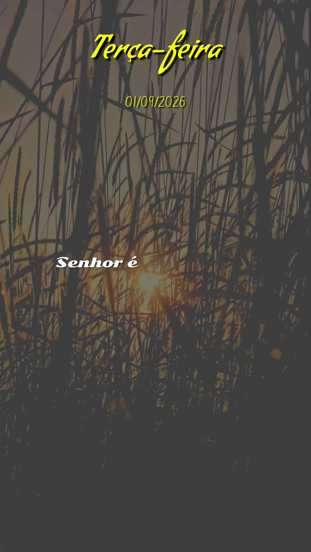 Meu bom dia especial nesta terça-feira é para você, pessoa querida. Hoje começamos um novo mês, o primeiro dia de setembro, e que tempo bonito para ...