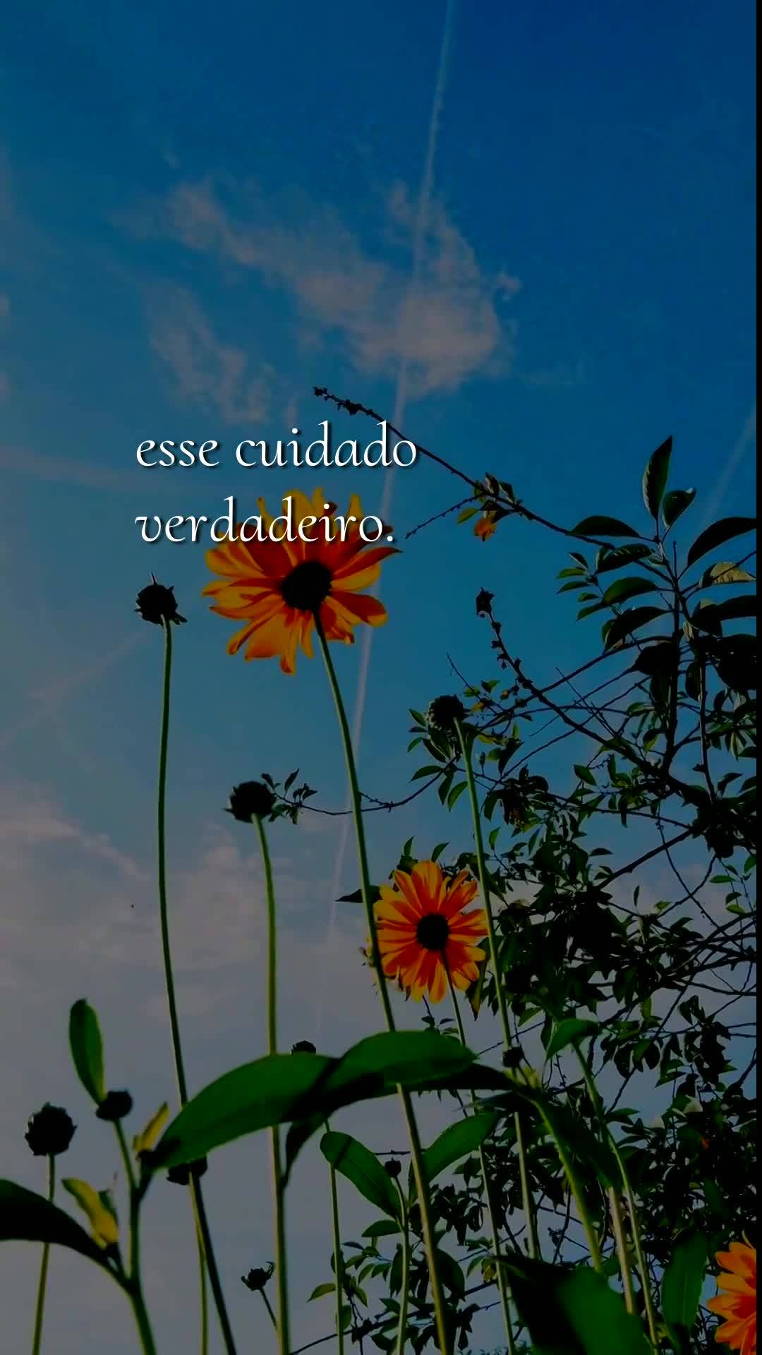 Meu bom dia especial neste domingo é para você, pessoa querida. Que Deus te abençoe, te guarde e te guie em cada passo deste dia de descanso. Senhor, ...