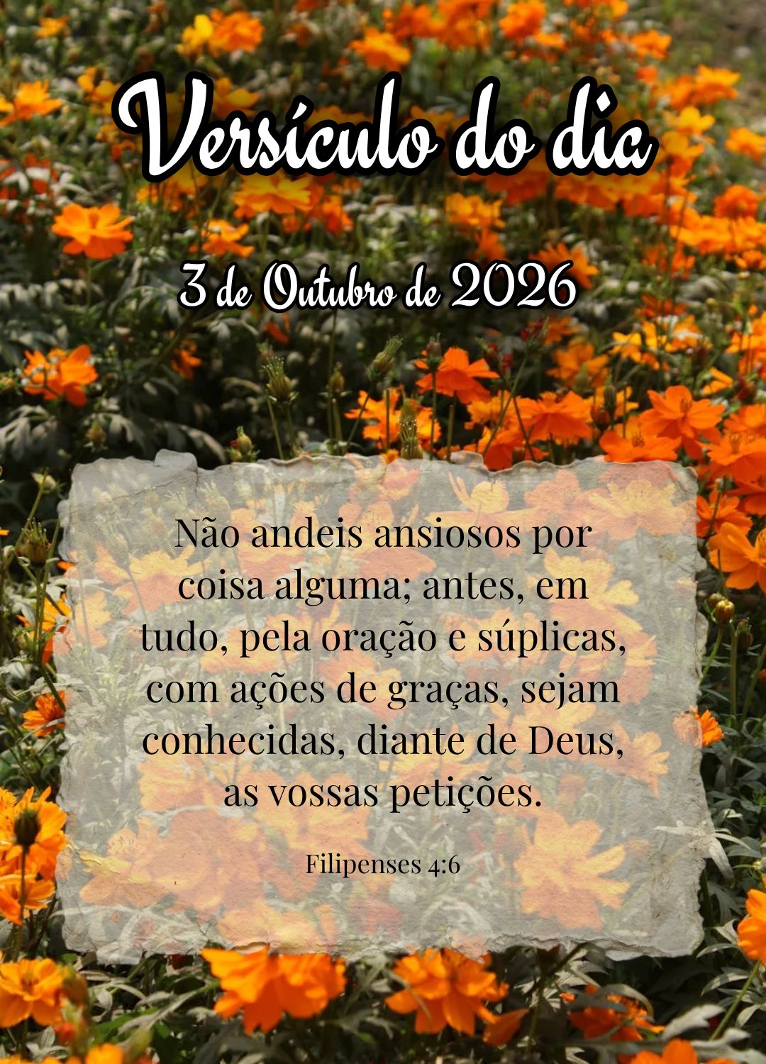 Não andeis ansiosos por coisa alguma; antes, em tudo, pela oração e súplicas, com ações de graças, sejam conhecidas, diante de Deus, as vossas pet...
