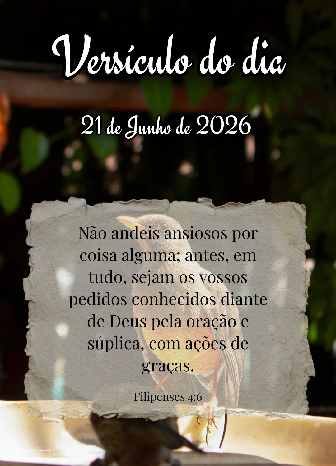 Não andeis ansiosos por coisa alguma; antes, em tudo, sejam os vossos pedidos conhecidos diante de Deus pela oração e súplica, com ações de graças...