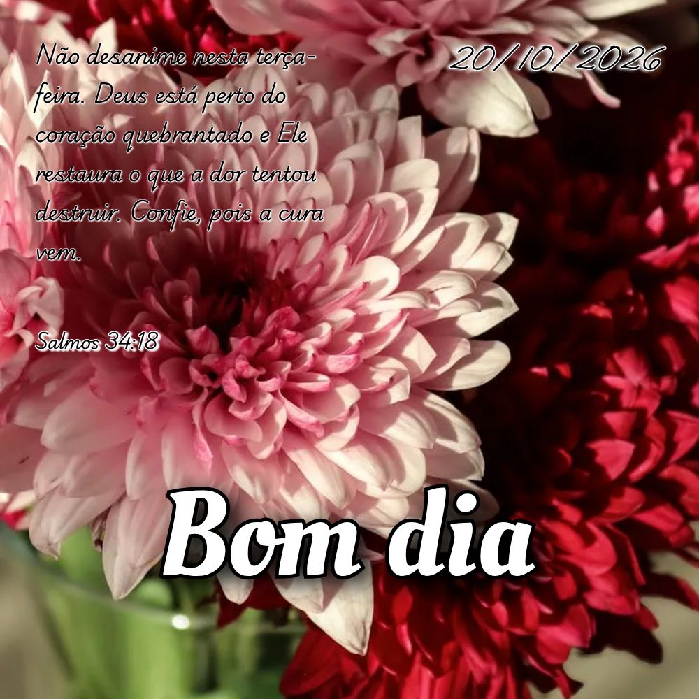 Não desanime nesta terça-feira. Deus está perto do coração quebrantado e Ele restaura o que a dor tentou destruir. Confie, pois a cura vem. Salmos 3...