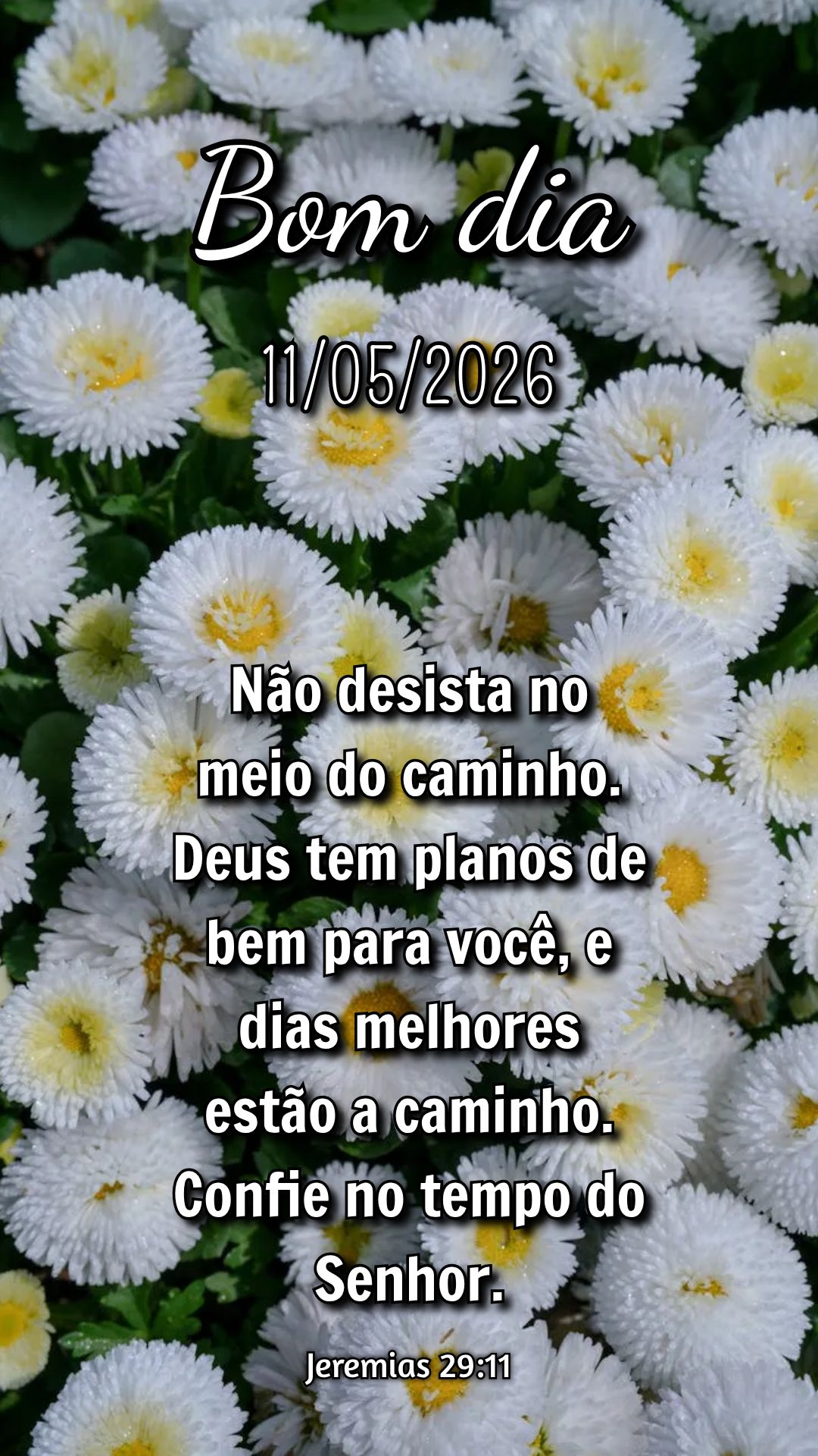 Não desista no meio do caminho. Deus tem planos de bem para você, e dias melhores estão a caminho. Confie no tempo do Senhor. Jeremias 29:11