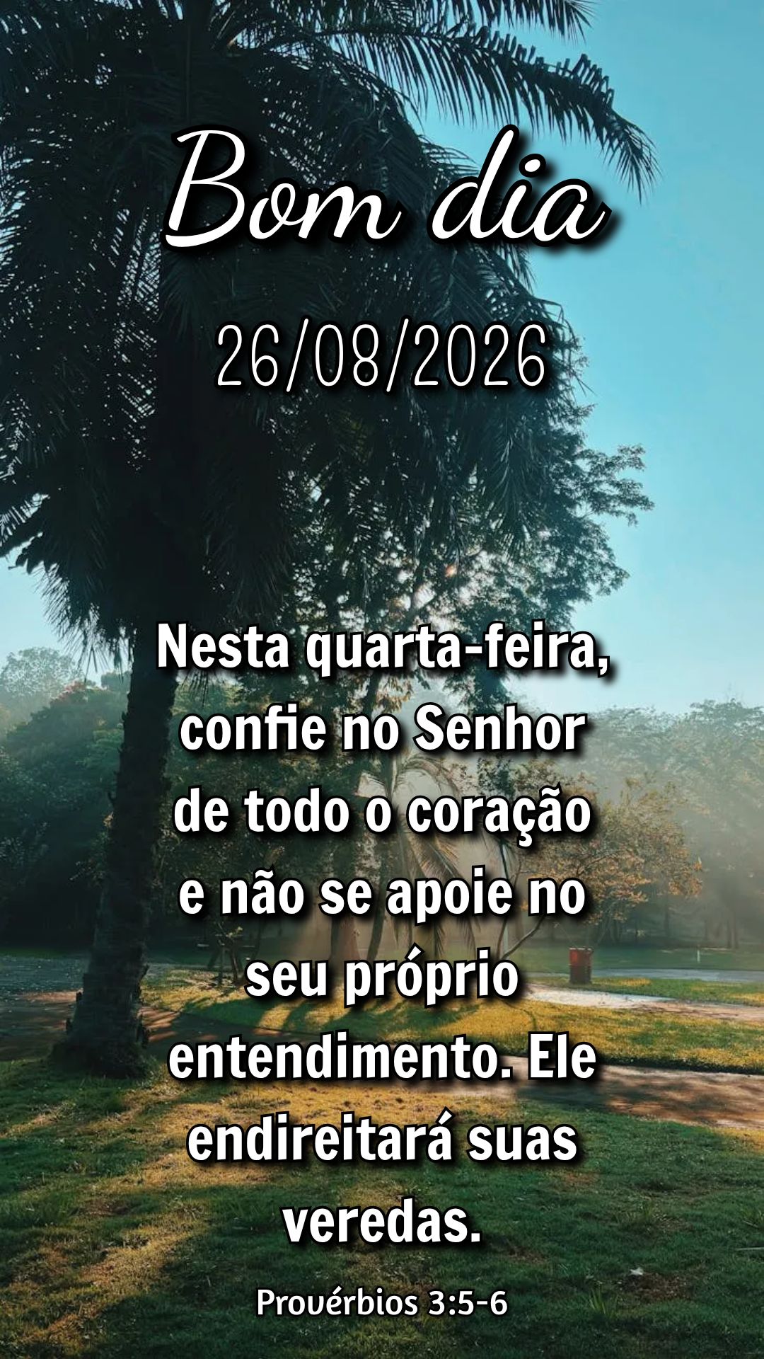 Nesta quarta-feira, confie no Senhor de todo o coração e não se apoie no seu próprio entendimento. Ele endireitará suas veredas. Provérbios 3:5-6...