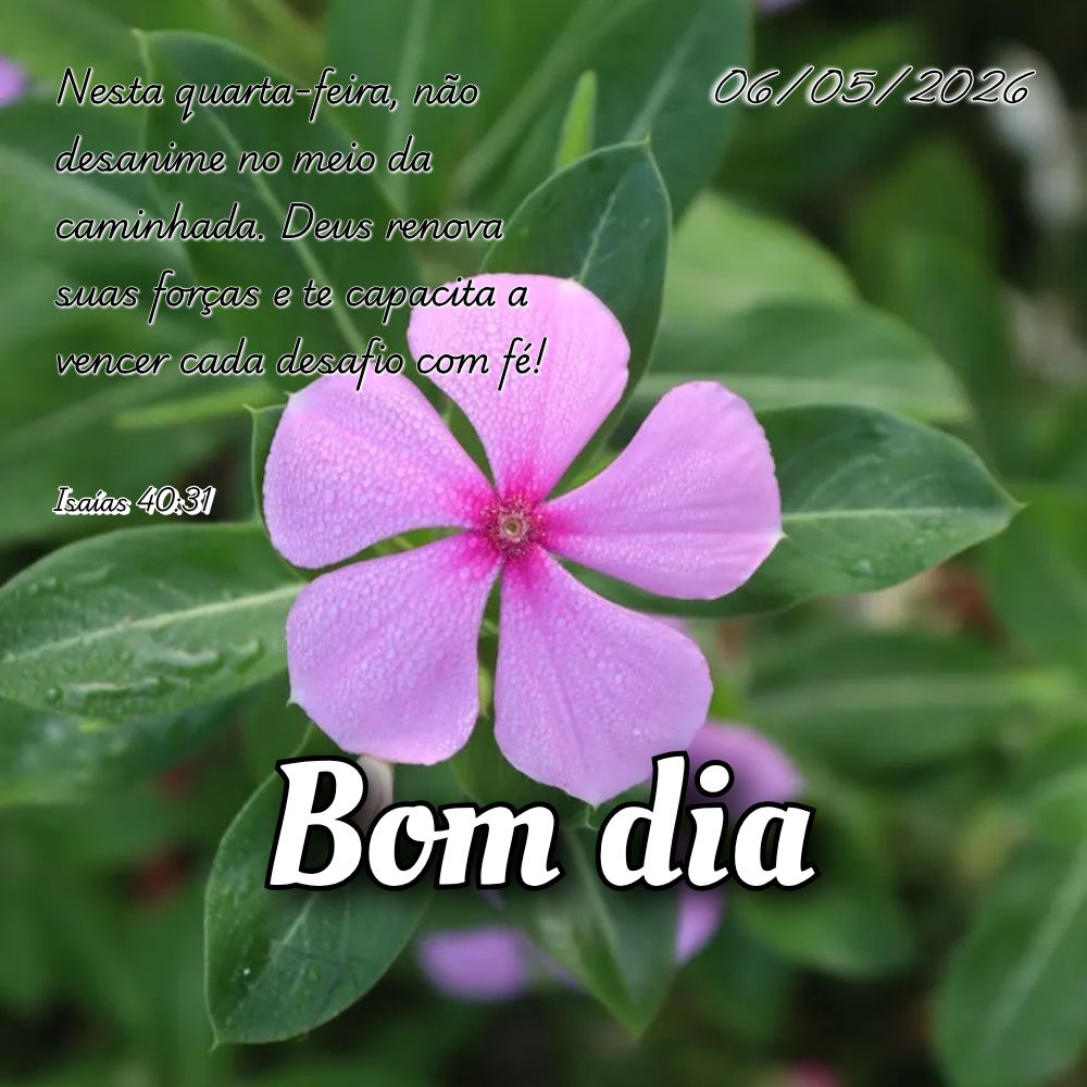 Nesta quarta-feira, não desanime no meio da caminhada. Deus renova suas forças e te capacita a vencer cada desafio com fé! Isaías 40:31