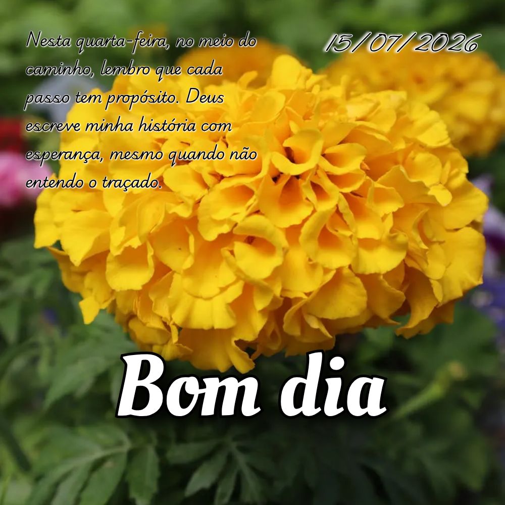 Nesta quarta-feira, no meio do caminho, lembro que cada passo tem propósito. Deus escreve minha história com esperança, mesmo quando não entendo o tr...