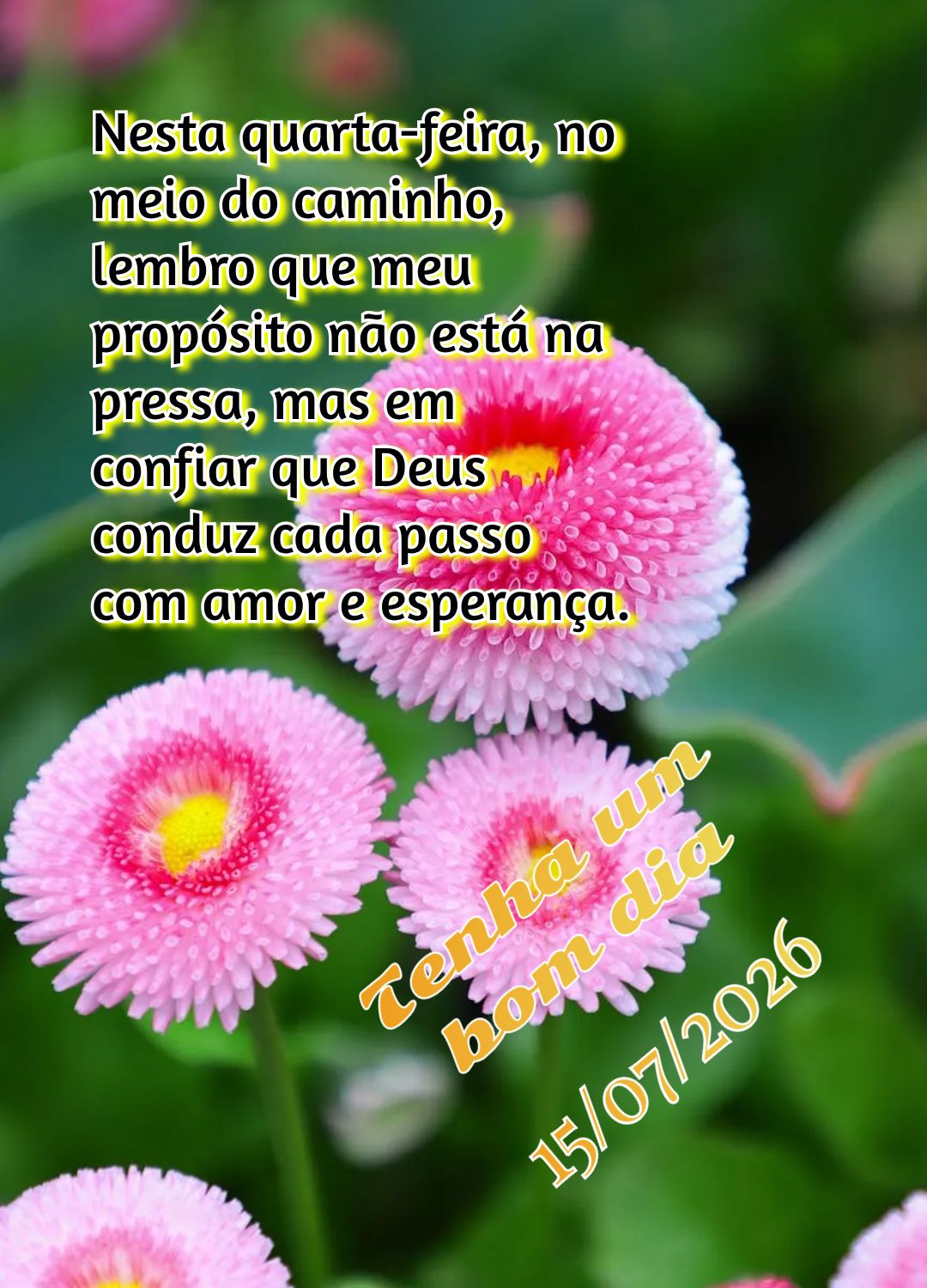 Nesta quarta-feira, no meio do caminho, lembro que meu propósito não está na pressa, mas em confiar que Deus conduz cada passo com amor e esperança. ...