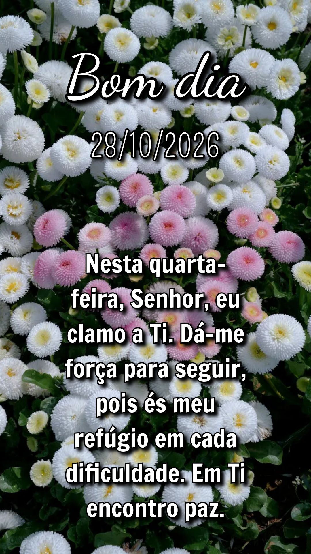 Nesta quarta-feira, Senhor, eu clamo a Ti. Dá-me força para seguir, pois és meu refúgio em cada dificuldade. Em Ti encontro paz.