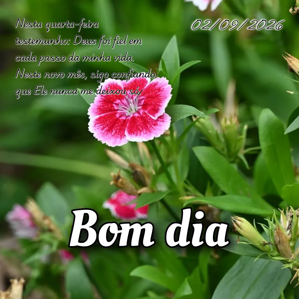 Nesta quarta-feira testemunho: Deus foi fiel em cada passo da minha vida. Neste novo mês, sigo confiando que Ele nunca me deixou só.