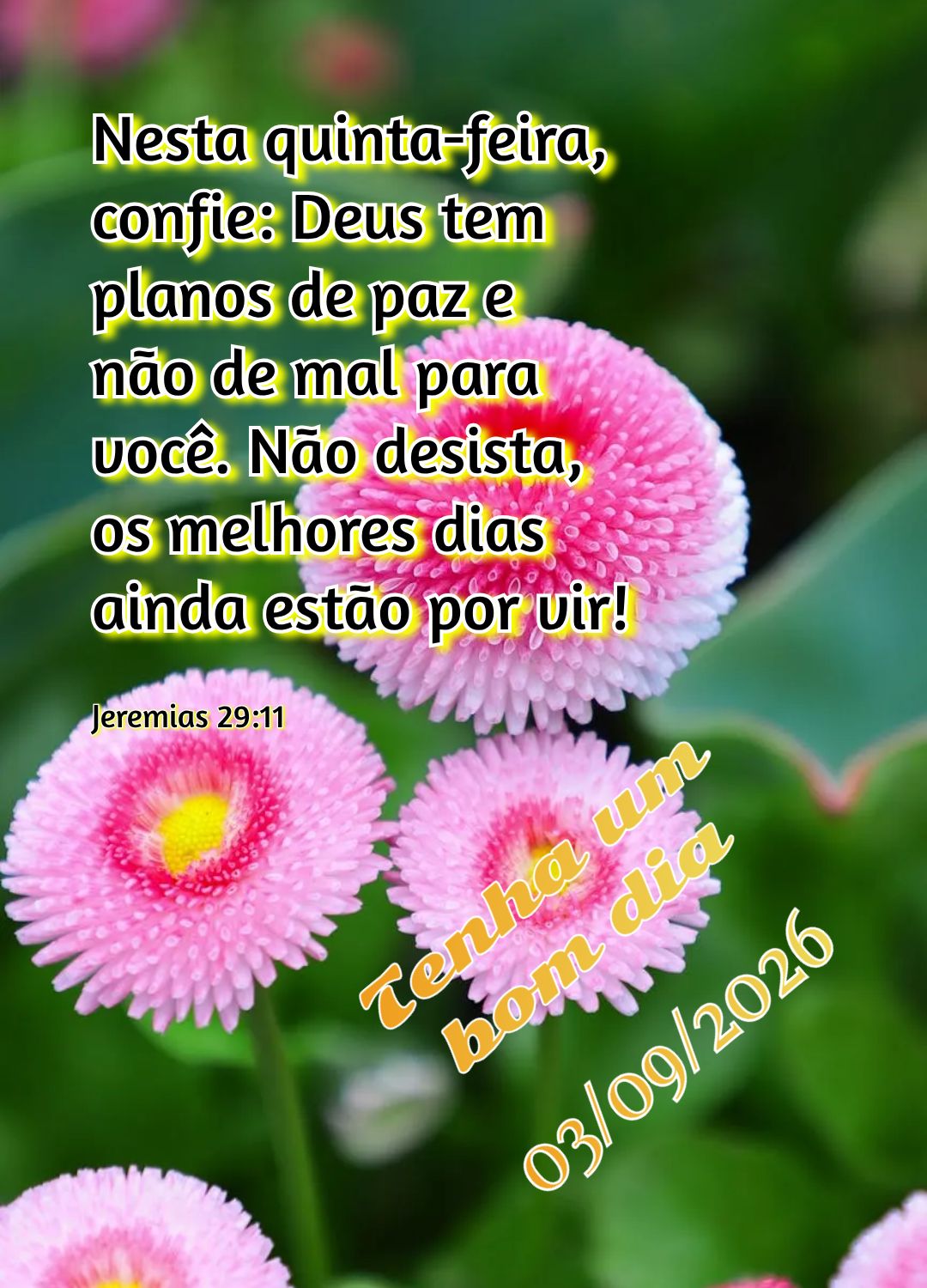 Nesta quinta-feira, confie: Deus tem planos de paz e não de mal para você. Não desista, os melhores dias ainda estão por vir! Tenha um bom dia Jeremi...
