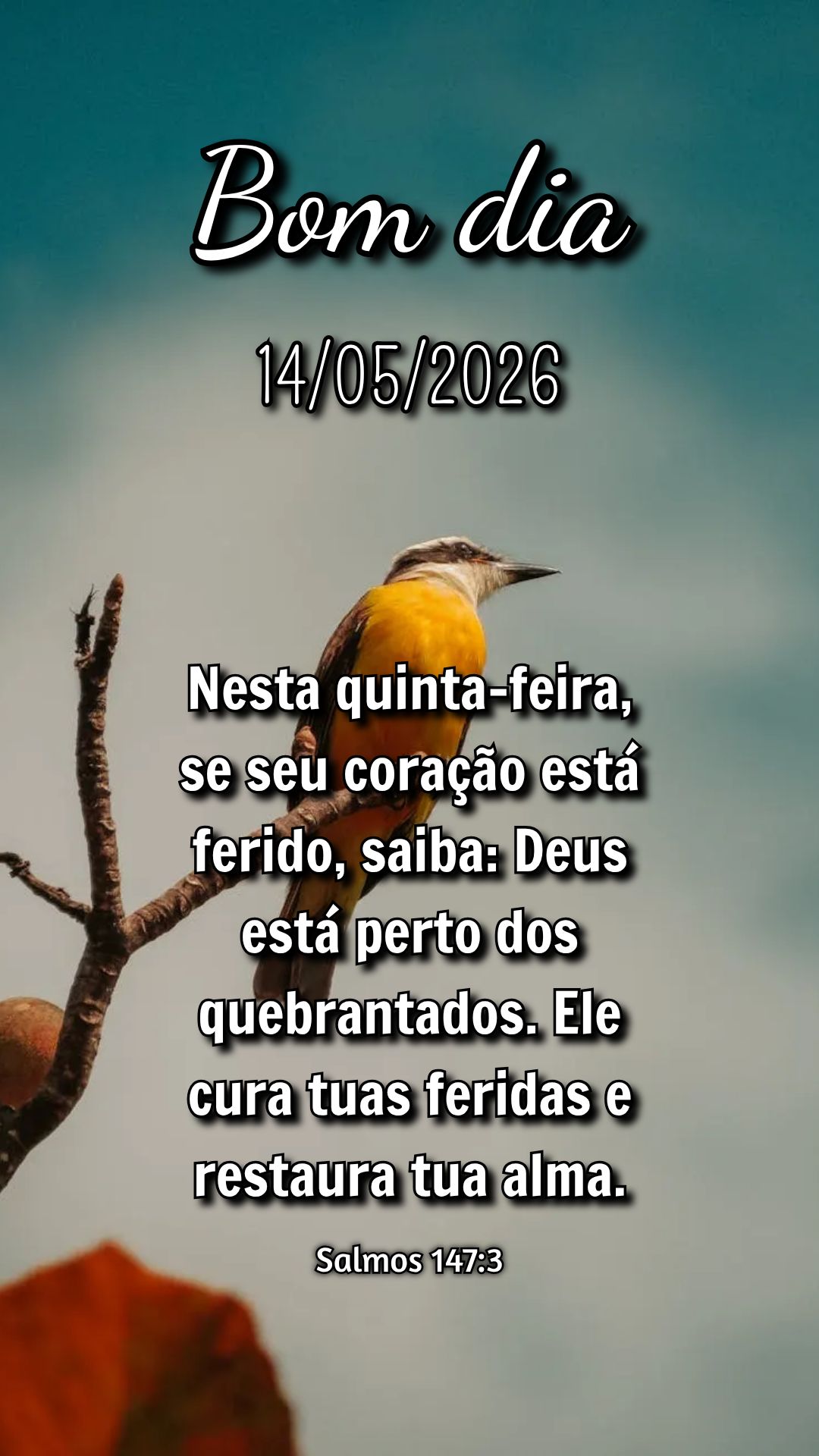 Nesta quinta-feira, se seu coração está ferido, saiba: Deus está perto dos quebrantados. Ele cura tuas feridas e restaura tua alma. Salmos 147:3