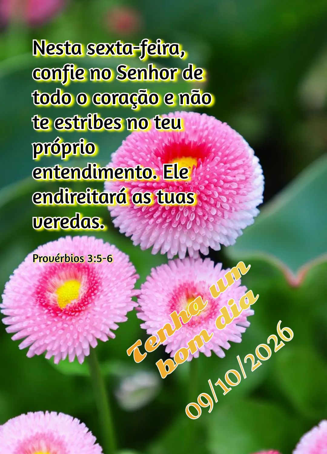Nesta sexta-feira, confie no Senhor de todo o coração e não te estribes no teu próprio entendimento. Ele endireitará as tuas veredas. Tenha um bom d...
