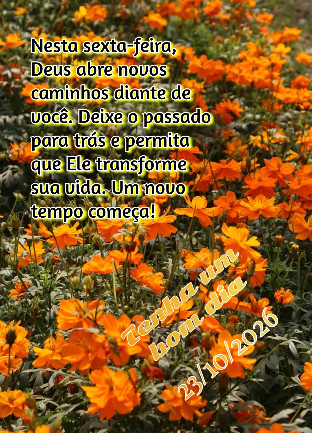 Nesta sexta-feira, Deus abre novos caminhos diante de você. Deixe o passado para trás e permita que Ele transforme sua vida. Um novo tempo começa! Ten...