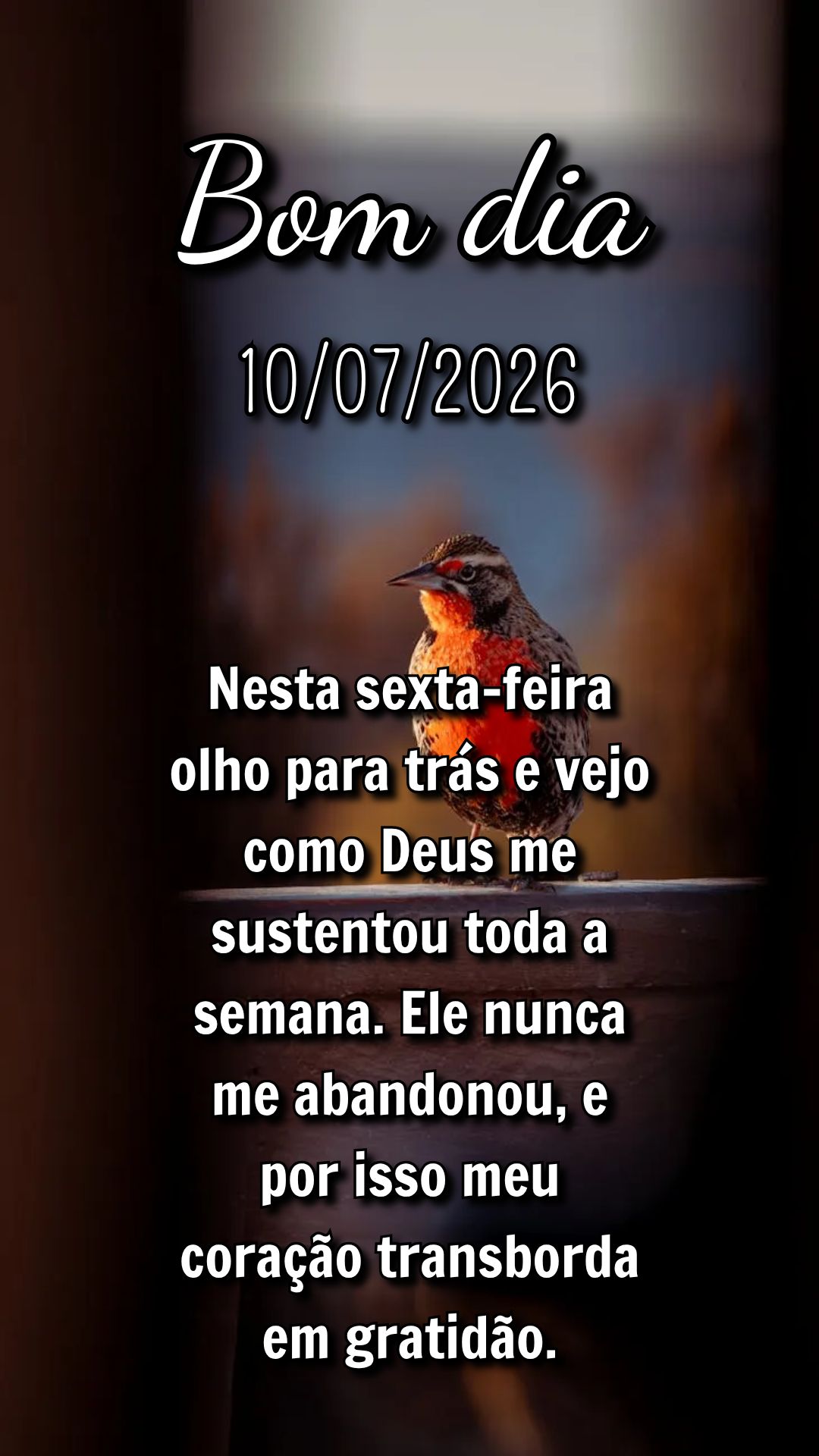 Nesta sexta-feira olho para trás e vejo como Deus me sustentou toda a semana. Ele nunca me abandonou, e por isso meu coração transborda em gratidão....
