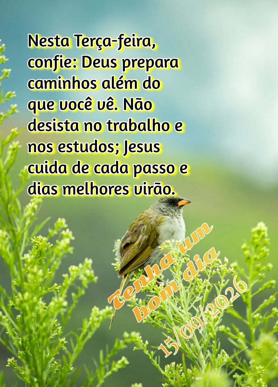 Nesta Terça-feira, confie: Deus prepara caminhos além do que você vê. Não desista no trabalho e nos estudos; Jesus cuida de cada passo e dias melhor...