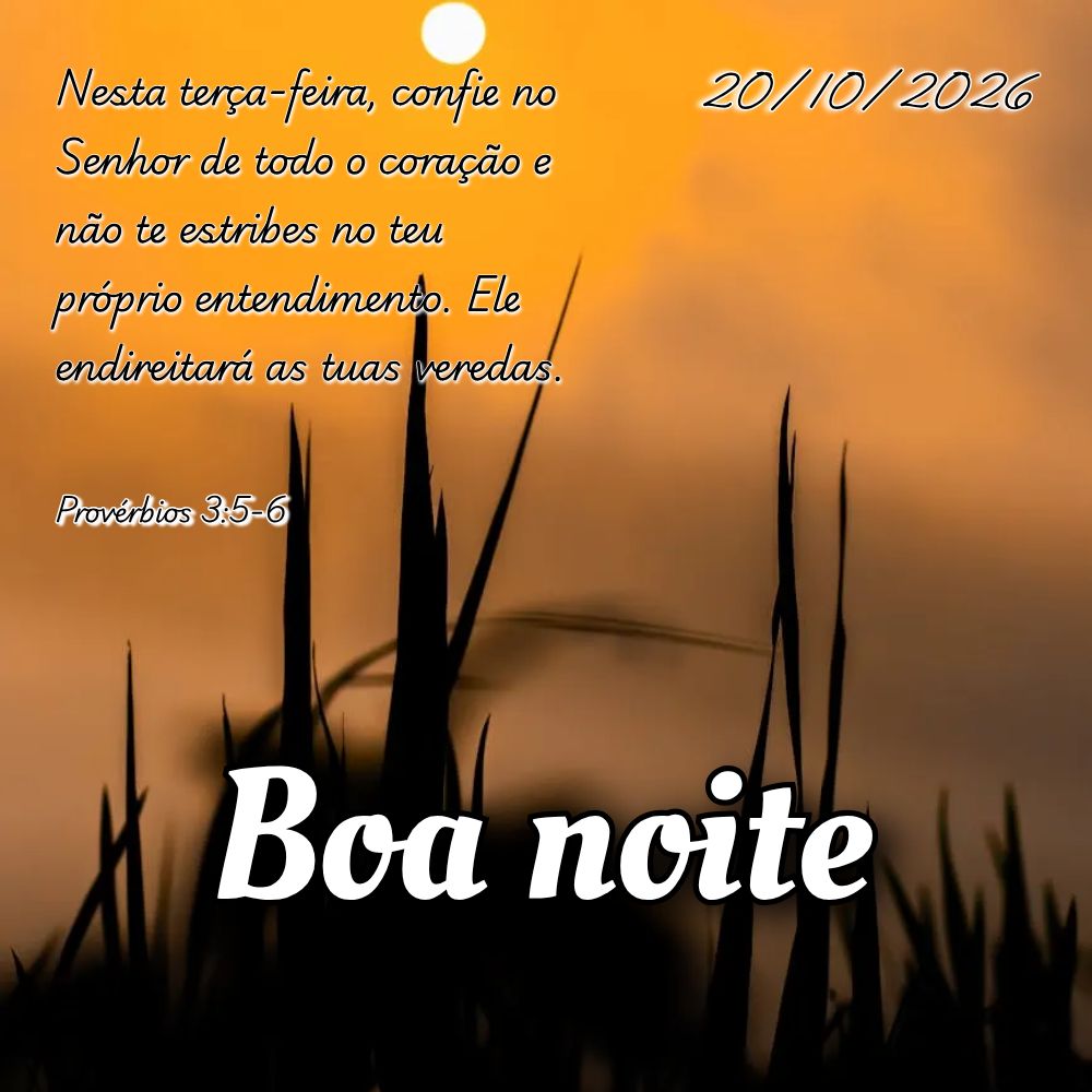 Nesta terça-feira, confie no Senhor de todo o coração e não te estribes no teu próprio entendimento. Ele endireitará as tuas veredas. Provérbios 3...