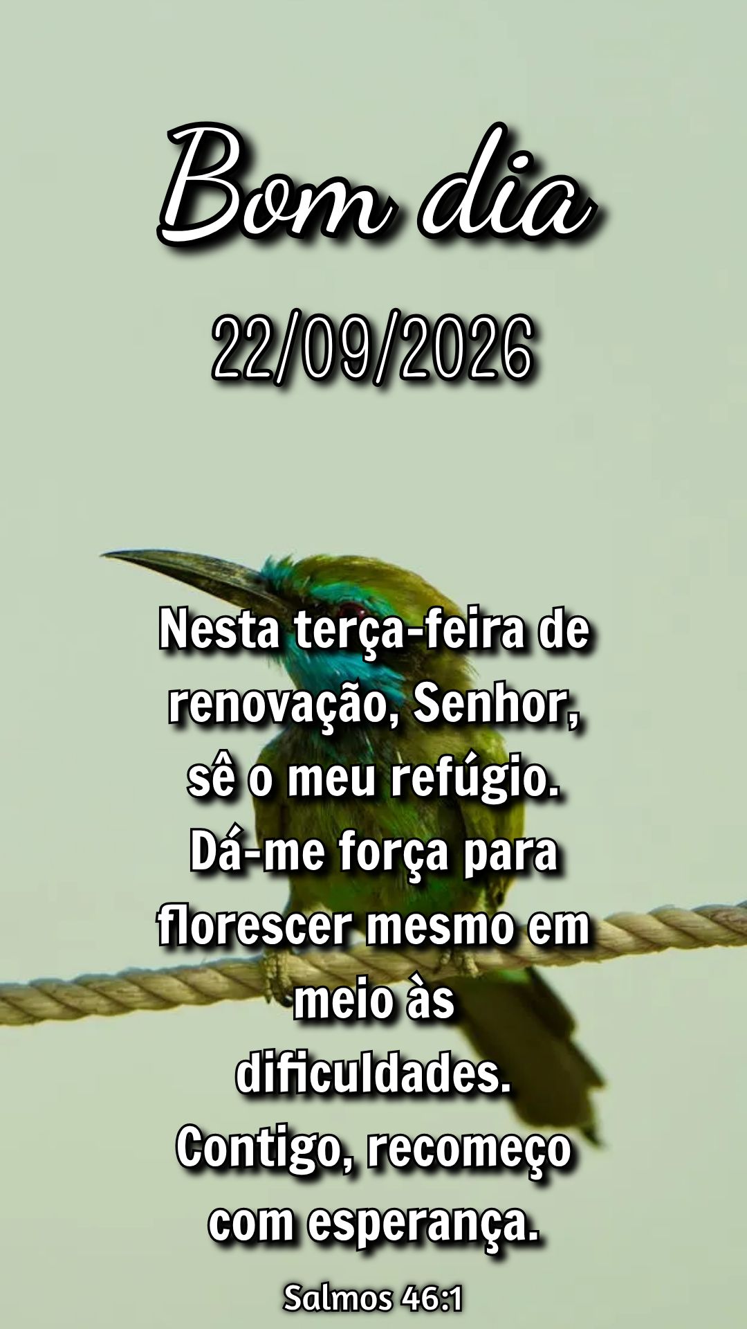 Nesta terça-feira de renovação, Senhor, sê o meu refúgio. Dá-me força para florescer mesmo em meio às dificuldades. Contigo, recomeço com espera...