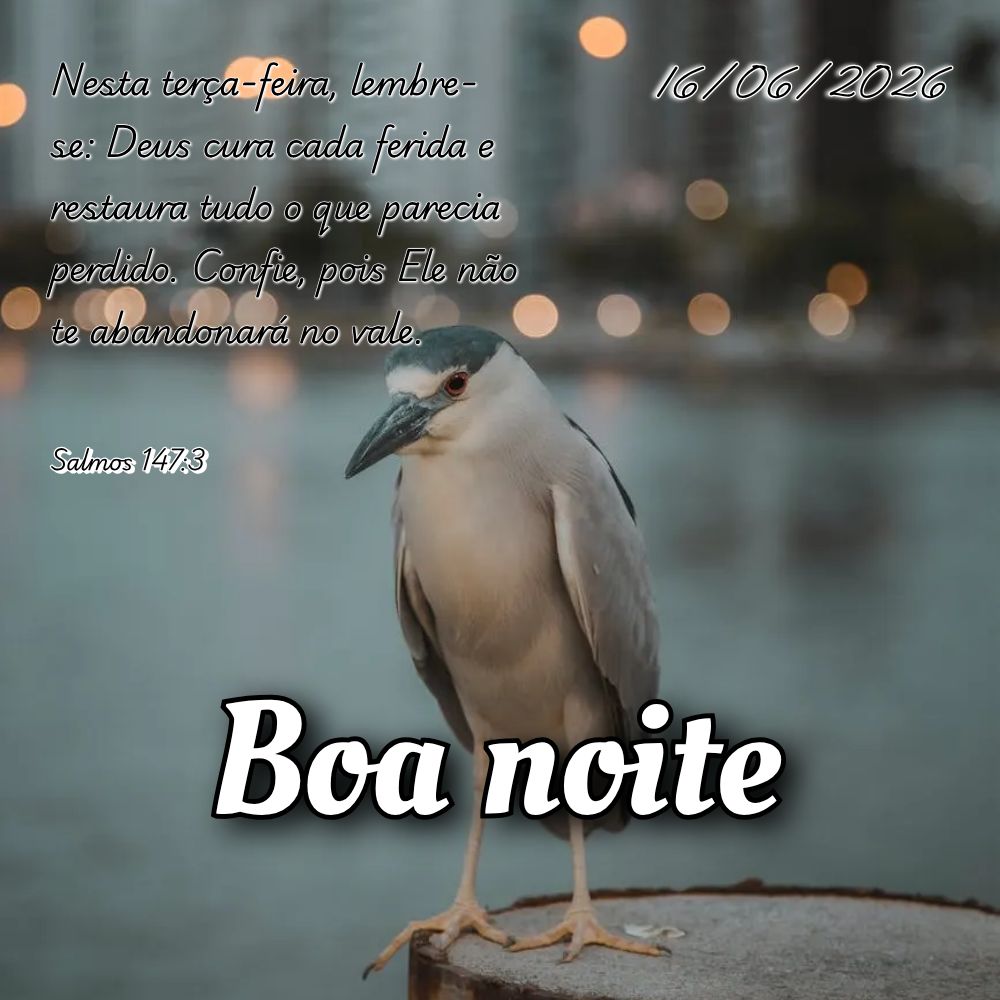 Nesta terça-feira, lembre-se: Deus cura cada ferida e restaura tudo o que parecia perdido. Confie, pois Ele não te abandonará no vale. Salmos 147:3