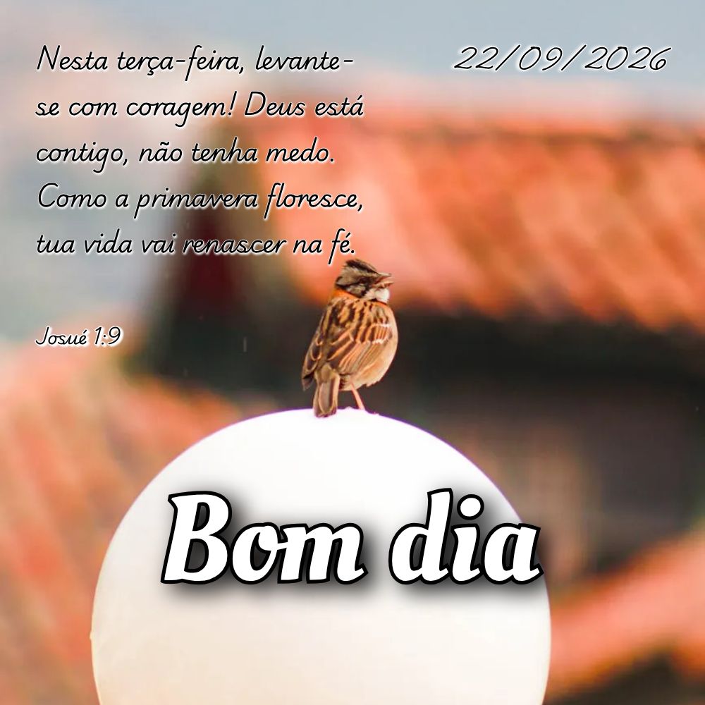 Nesta terça-feira, levante-se com coragem! Deus está contigo, não tenha medo. Como a primavera floresce, tua vida vai renascer na fé. Josué 1:9