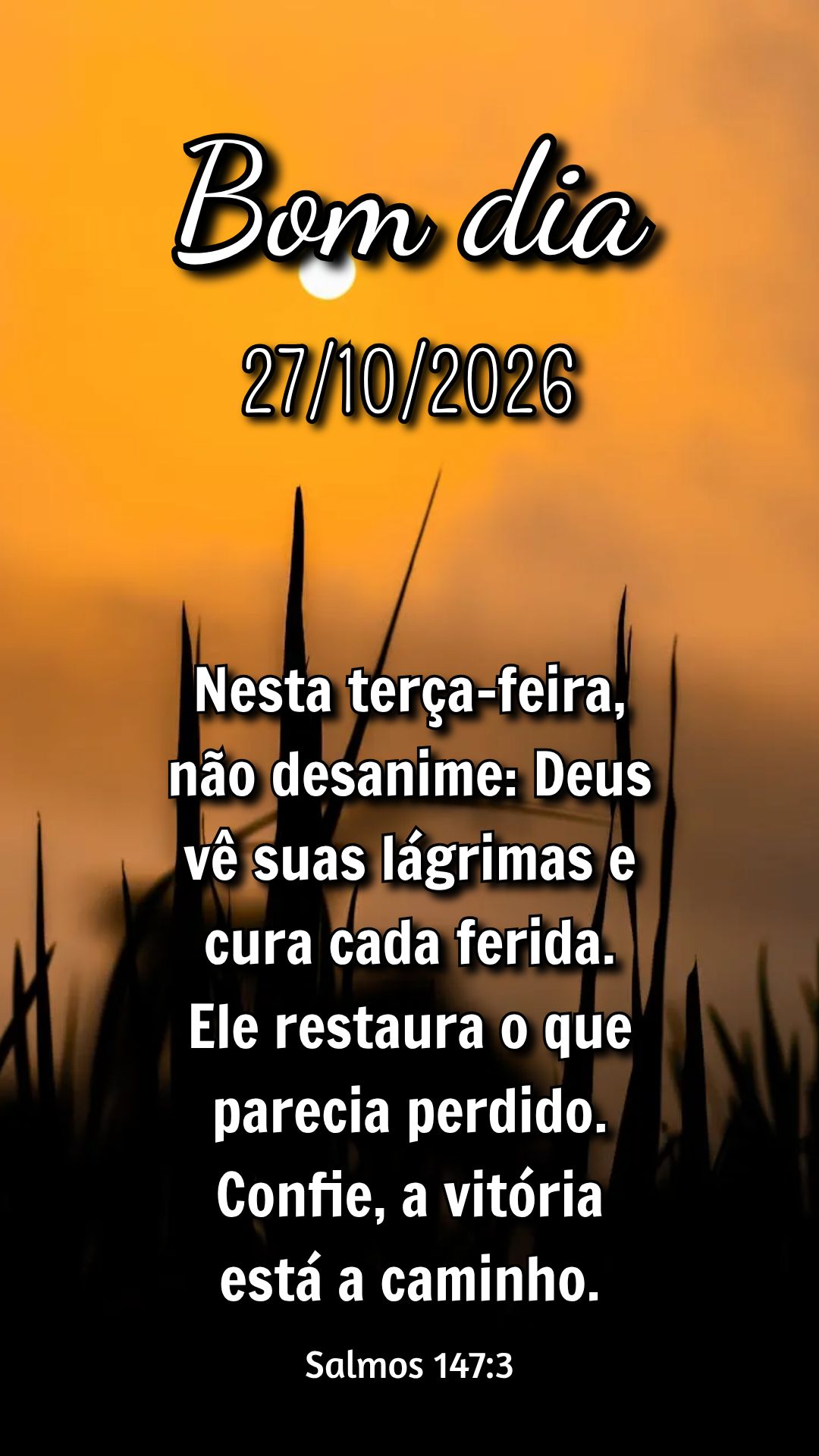 Nesta terça-feira, não desanime: Deus vê suas lágrimas e cura cada ferida. Ele restaura o que parecia perdido. Confie, a vitória está a caminho. Sa...