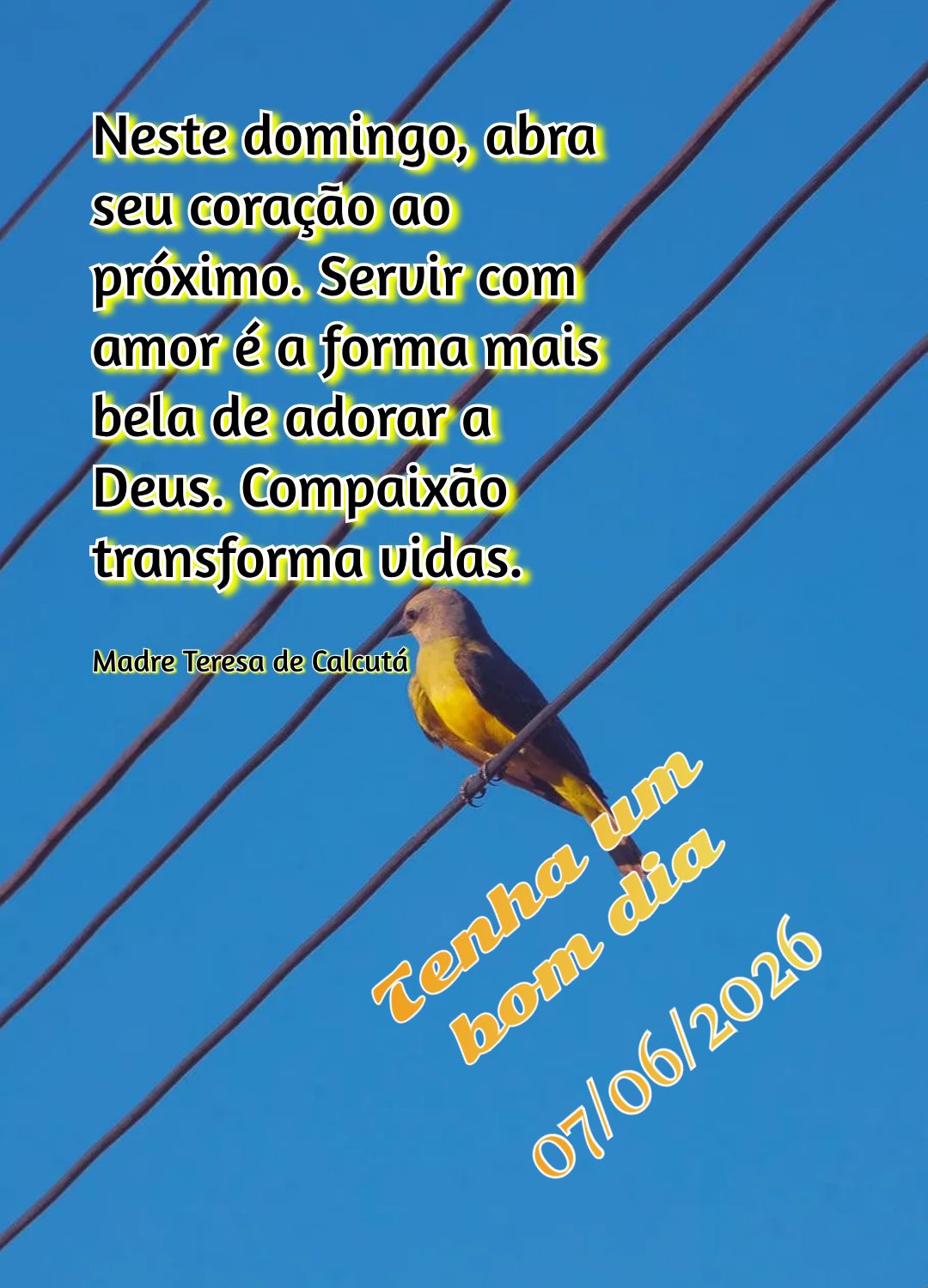 Neste domingo, abra seu coração ao próximo. Servir com amor é a forma mais bela de adorar a Deus. Compaixão transforma vidas. Tenha um bom dia Madre...