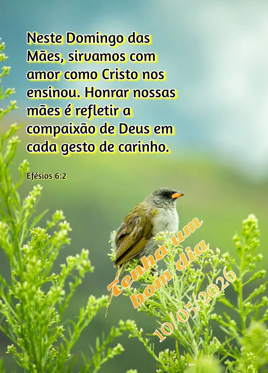 Neste Domingo das Mães, sirvamos com amor como Cristo nos ensinou. Honrar nossas mães é refletir a compaixão de Deus em cada gesto de carinho. Tenha ...