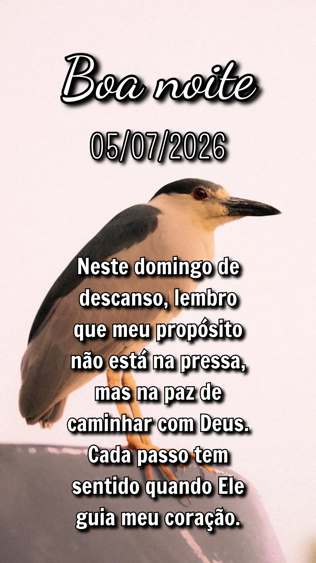 Neste domingo de descanso, lembro que meu propósito não está na pressa, mas na paz de caminhar com Deus. Cada passo tem sentido quando Ele guia meu co...