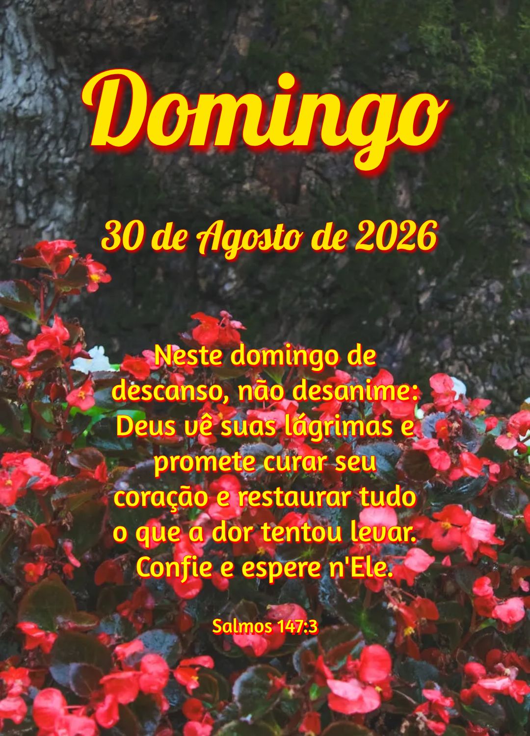 Neste domingo de descanso, não desanime: Deus vê suas lágrimas e promete curar seu coração e restaurar tudo o que a dor tentou levar. Confie e esper...
