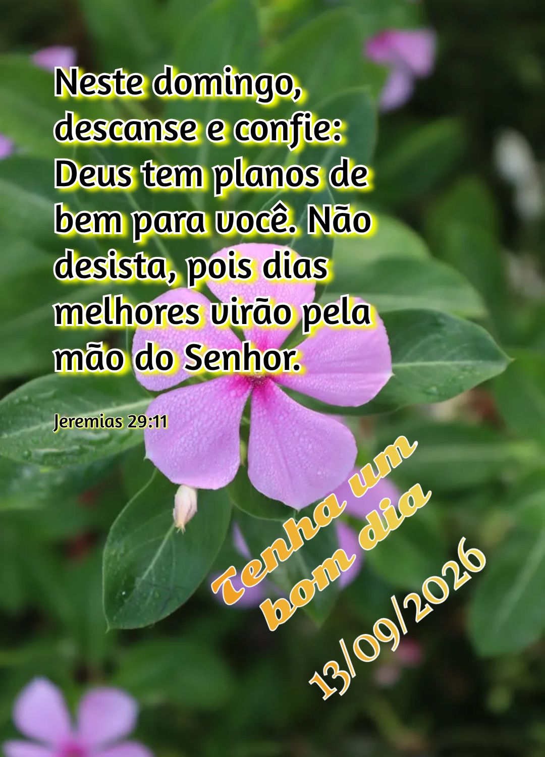 Neste domingo, descanse e confie: Deus tem planos de bem para você. Não desista, pois dias melhores virão pela mão do Senhor. Tenha um bom dia Jeremi...