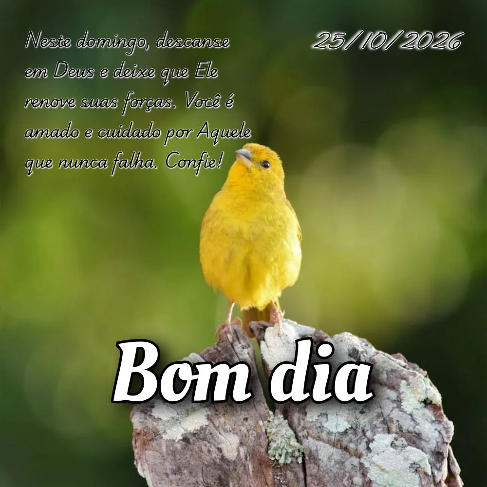 Neste domingo, descanse em Deus e deixe que Ele renove suas forças. Você é amado e cuidado por Aquele que nunca falha. Confie!