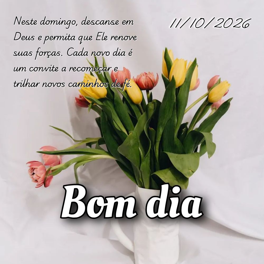 Neste domingo, descanse em Deus e permita que Ele renove suas forças. Cada novo dia é um convite a recomeçar e trilhar novos caminhos de fé.