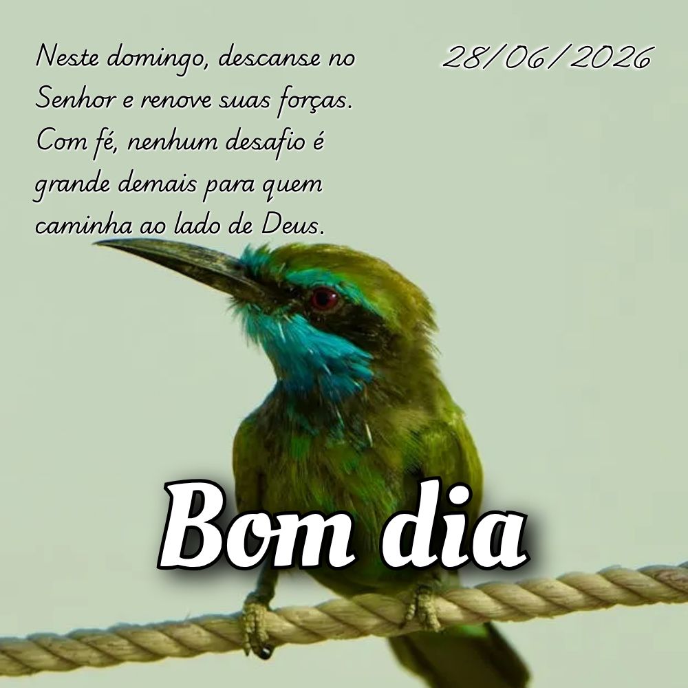 Neste domingo, descanse no Senhor e renove suas forças. Com fé, nenhum desafio é grande demais para quem caminha ao lado de Deus.