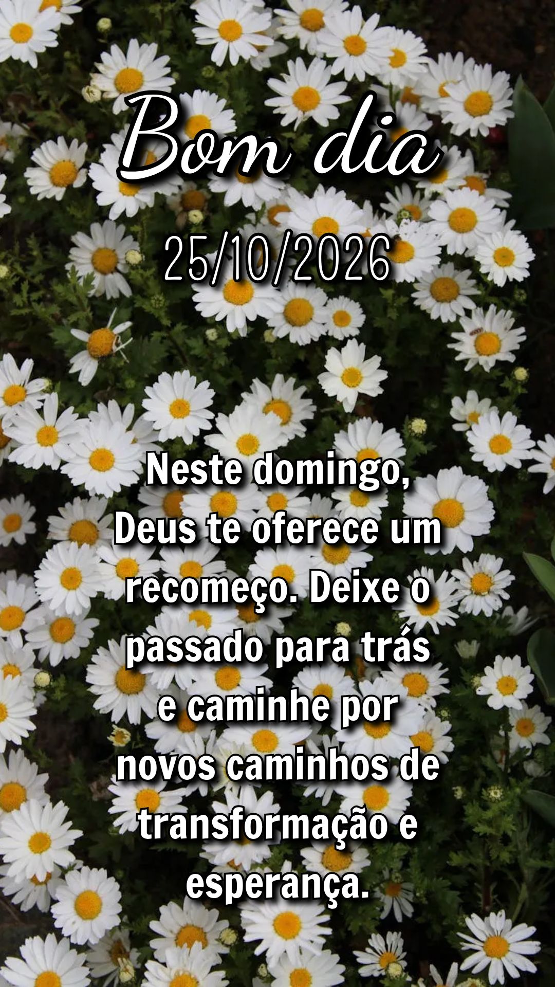 Neste domingo, Deus te oferece um recomeço. Deixe o passado para trás e caminhe por novos caminhos de transformação e esperança.