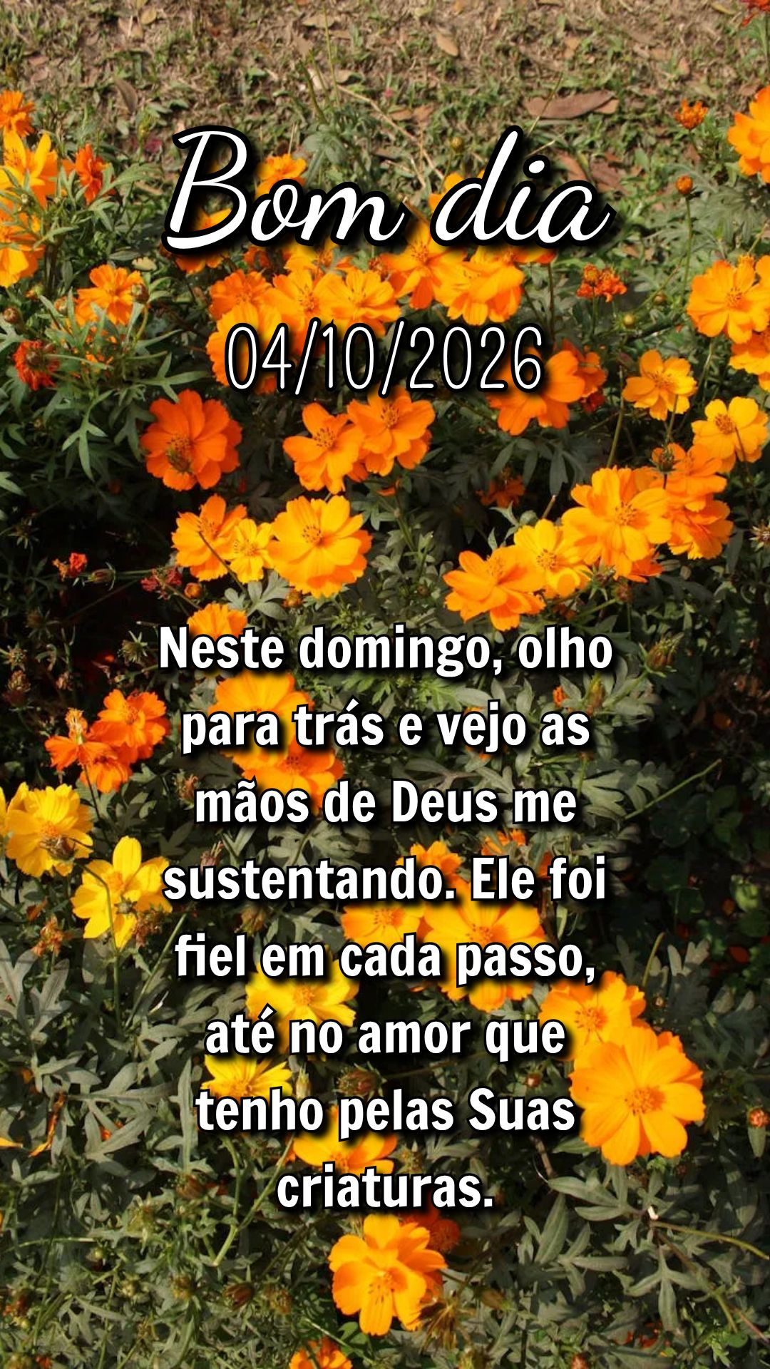 Neste domingo, olho para trás e vejo as mãos de Deus me sustentando. Ele foi fiel em cada passo, até no amor que tenho pelas Suas criaturas.