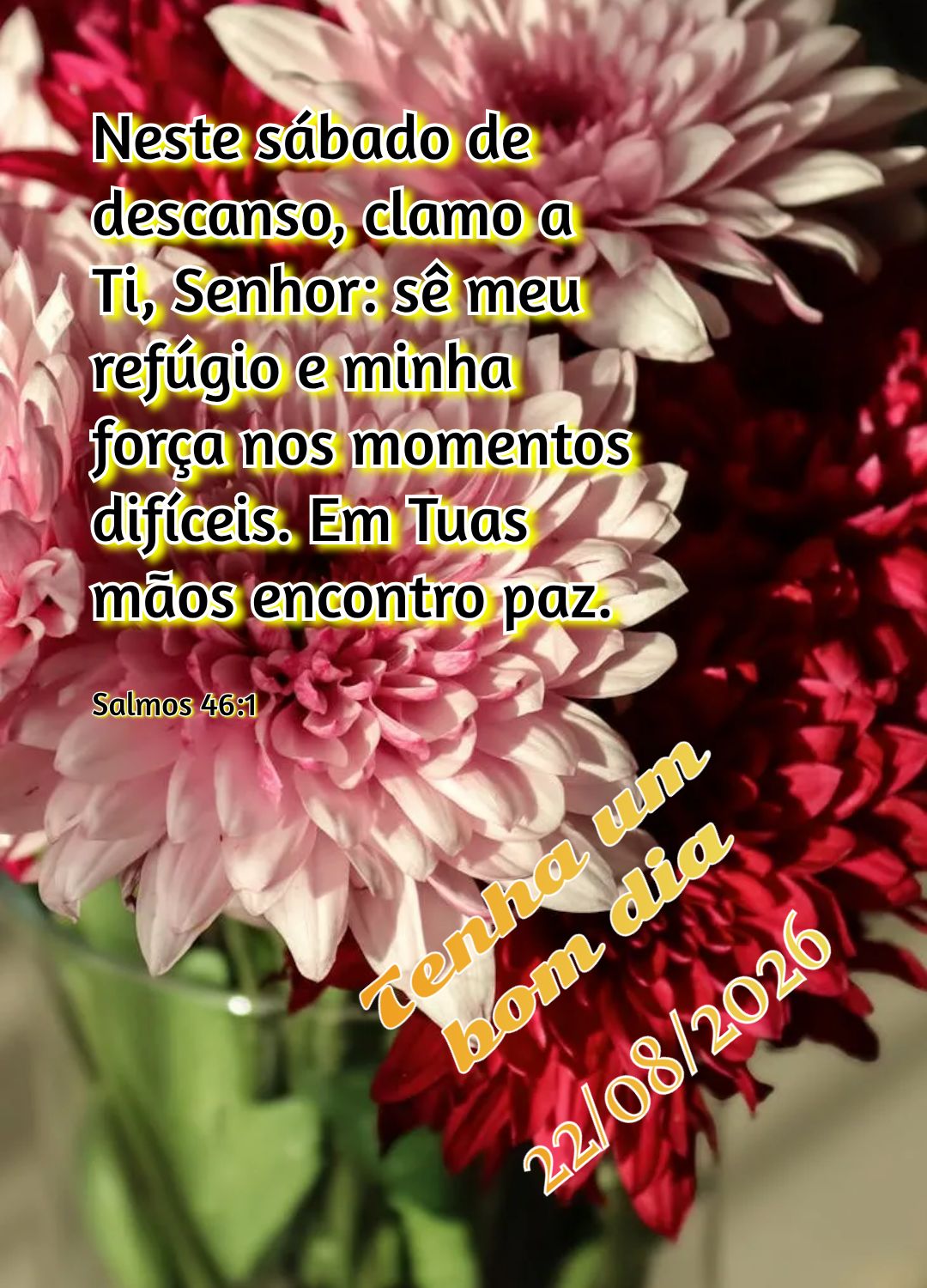 Neste sábado de descanso, clamo a Ti, Senhor: sê meu refúgio e minha força nos momentos difíceis. Em Tuas mãos encontro paz. Tenha um bom dia Salmo...