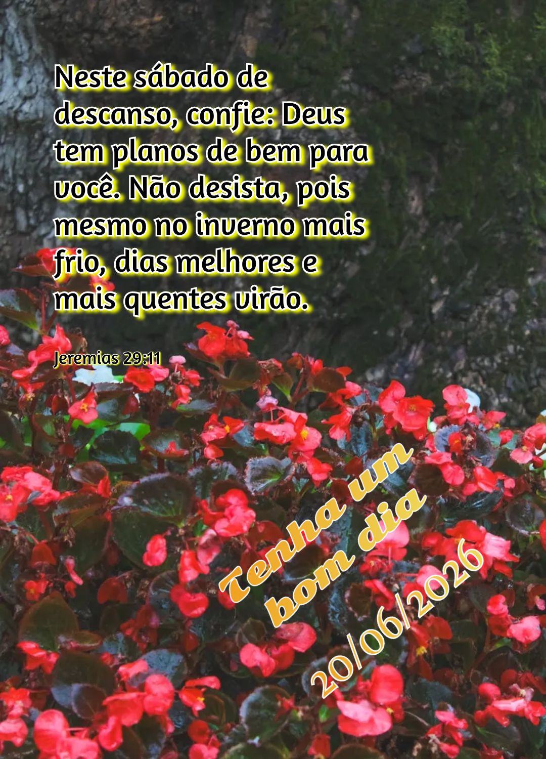 Neste sábado de descanso, confie: Deus tem planos de bem para você. Não desista, pois mesmo no inverno mais frio, dias melhores e mais quentes virão....