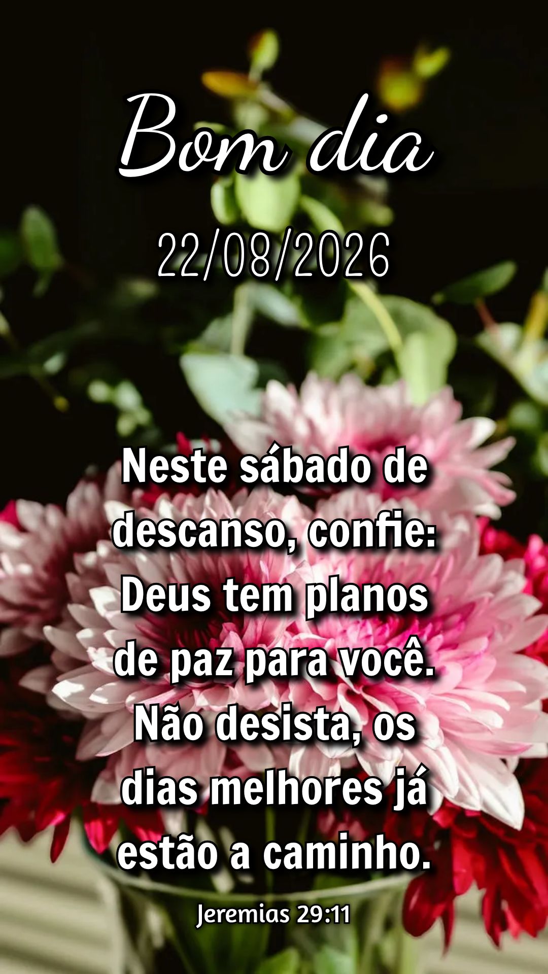 Neste sábado de descanso, confie: Deus tem planos de paz para você. Não desista, os dias melhores já estão a caminho. Jeremias 29:11