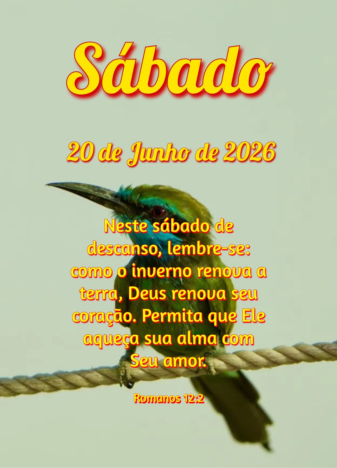 Neste sábado de descanso, lembre-se: como o inverno renova a terra, Deus renova seu coração. Permita que Ele aqueça sua alma com Seu amor. Romanos 12...