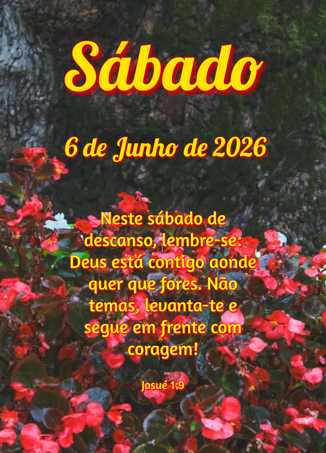 Neste sábado de descanso, lembre-se: Deus está contigo aonde quer que fores. Não temas, levanta-te e segue em frente com coragem! Josué 1:9