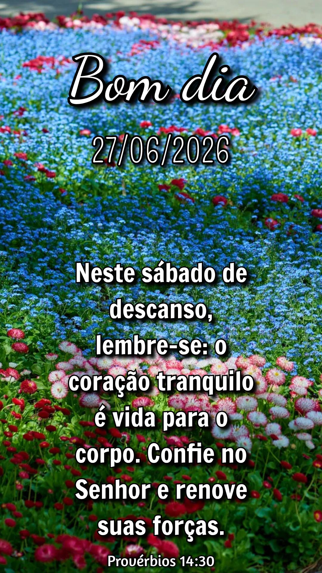 Neste sábado de descanso, lembre-se: o coração tranquilo é vida para o corpo. Confie no Senhor e renove suas forças. Provérbios 14:30