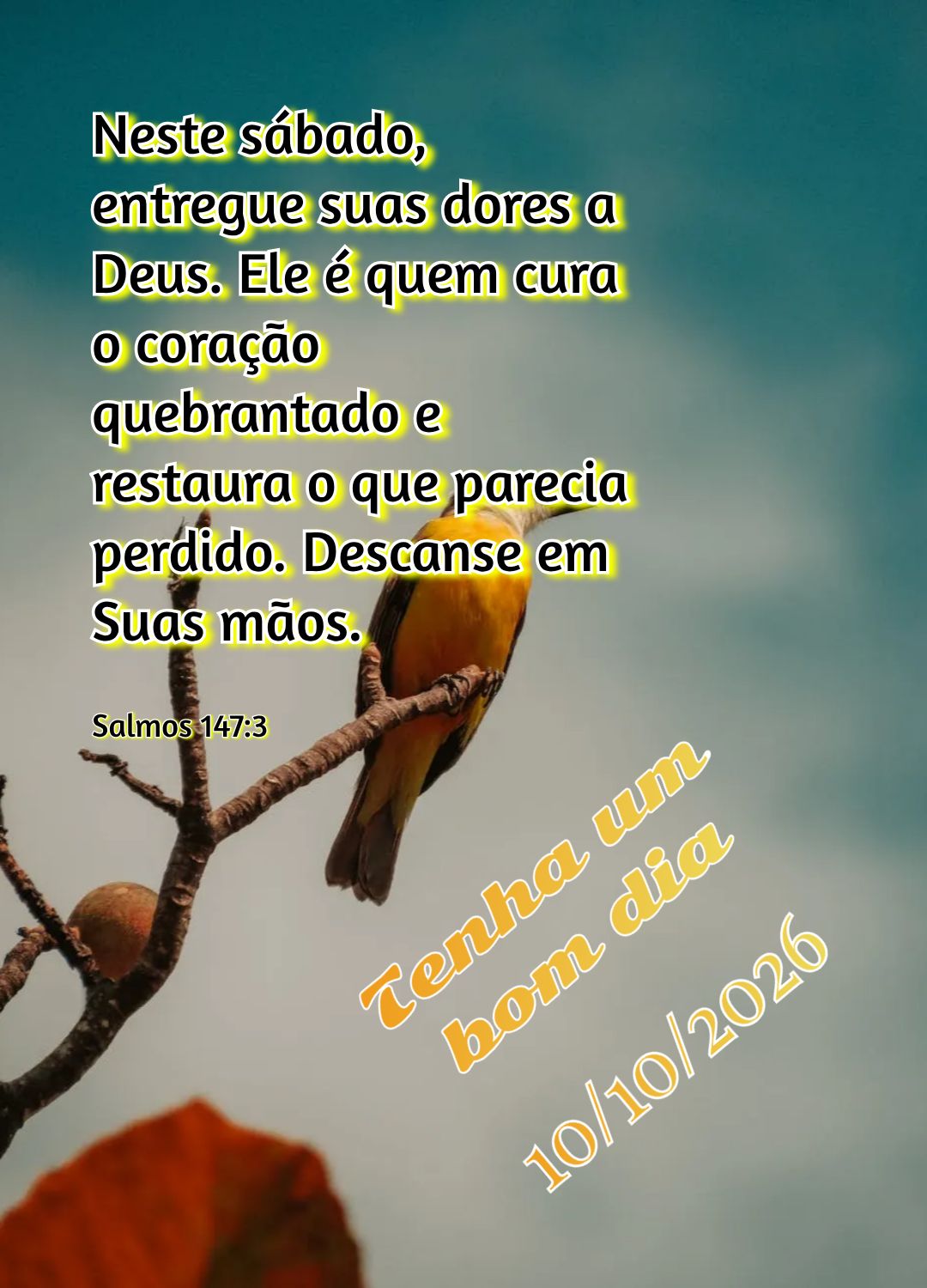Neste sábado, entregue suas dores a Deus. Ele é quem cura o coração quebrantado e restaura o que parecia perdido. Descanse em Suas mãos. Tenha um bo...
