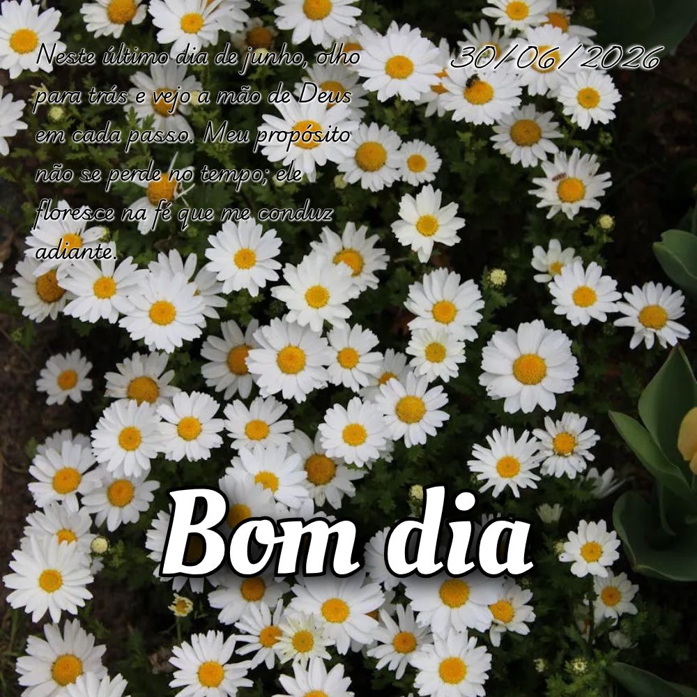 Neste último dia de junho, olho para trás e vejo a mão de Deus em cada passo. Meu propósito não se perde no tempo; ele floresce na fé que me conduz...